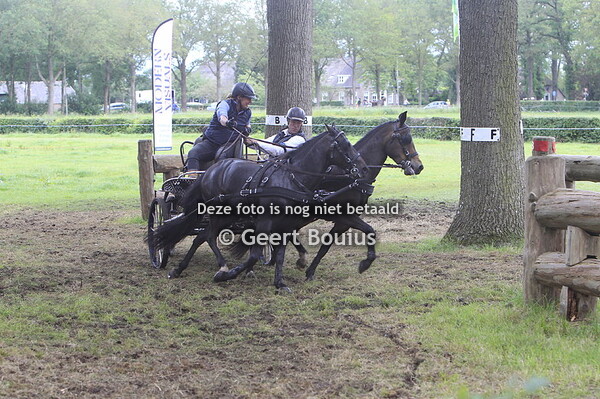 Zuidwolde mennen/marathon