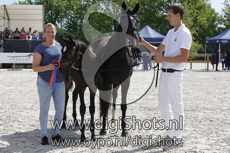 This is Platina RS2 v. Barton VDL