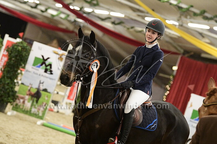 Lonneke Zwienenberg - Nigel