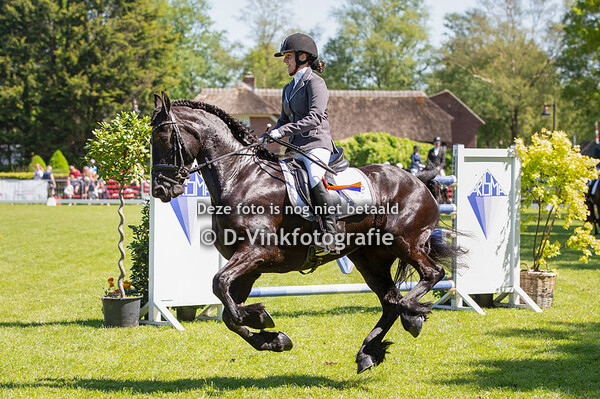 04. Bestgaand rijpaard groep 1