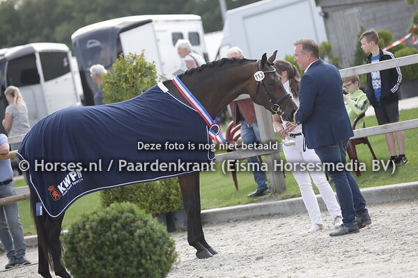 113 Mina Dora (Dream Boy x Venora v. Amsterdam)