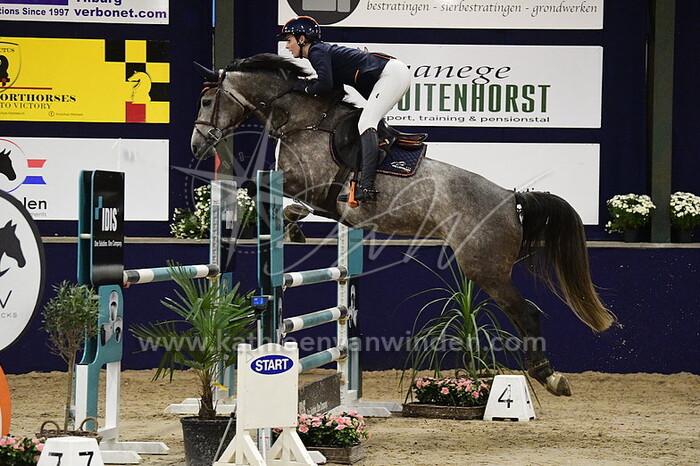 Kristy Snepvangers - Millstream's Masara