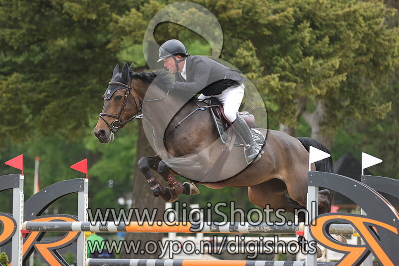 New Star Vd Berghoeve