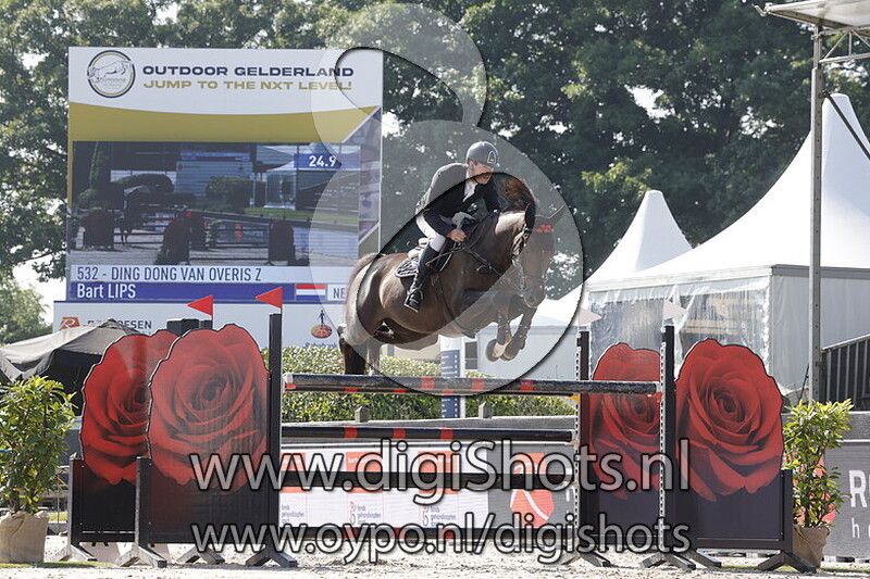 Ding Dong van Overis Z