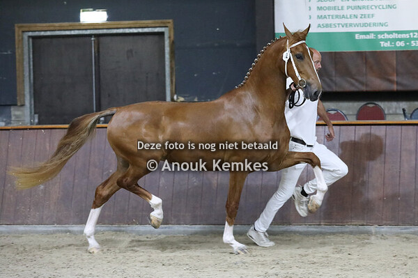 Resatine ( Fantijn x Manno )