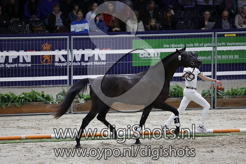 Rafiq v. So Perfect - 506