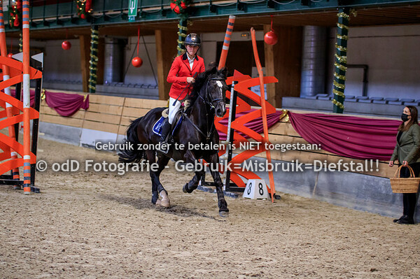 NY Jumping Warredal Pony's 70-80-90cm 07-01-22