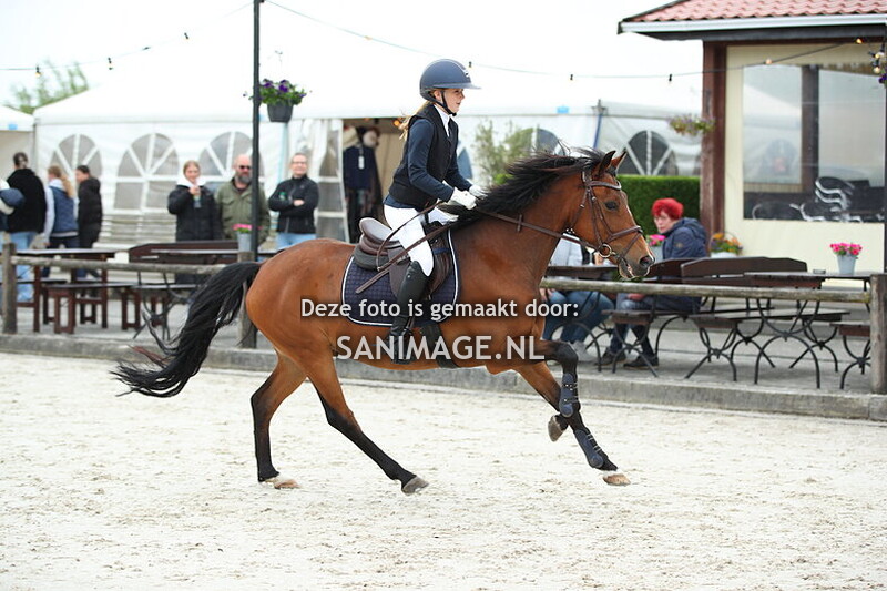 Jumping Tolboom 24-05-2025 Springen Pony's 30-60 cm Barrage en direct op stijl