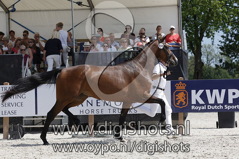 Papaya v. Just Wimphof