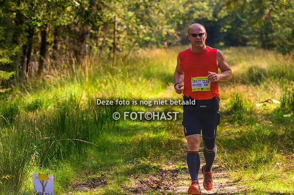 Tot de grote splitsing