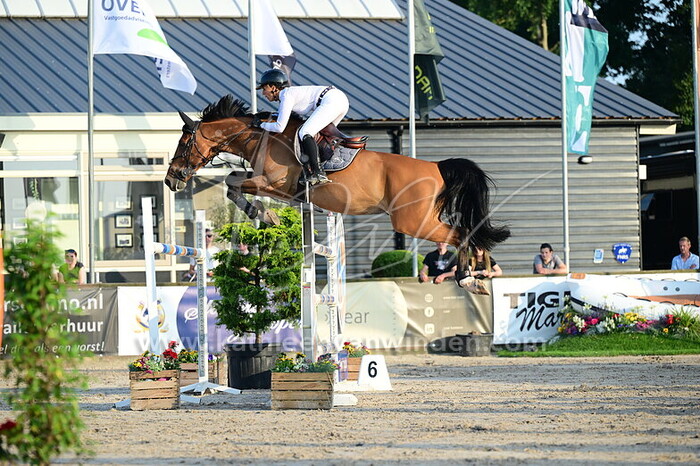 Sabrina van Rijswijk - Mowgli van Polderzicht