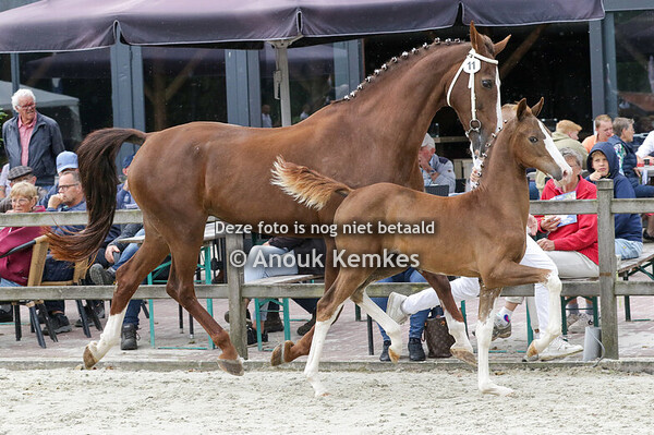 011 - UFIRA OLYMPUS HS X SAFFRAAN SJ. CAZEMIER, JONKERSVAART