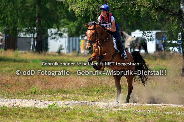 SGW Ede en Putten, Paarden L 23-06-19