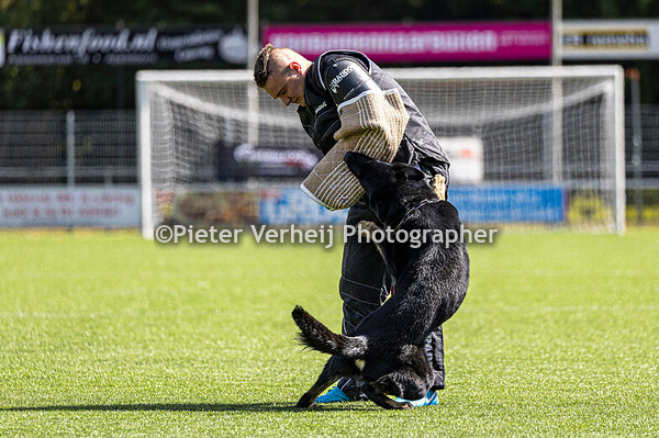 Lot nr 11 Oege Hoekstra