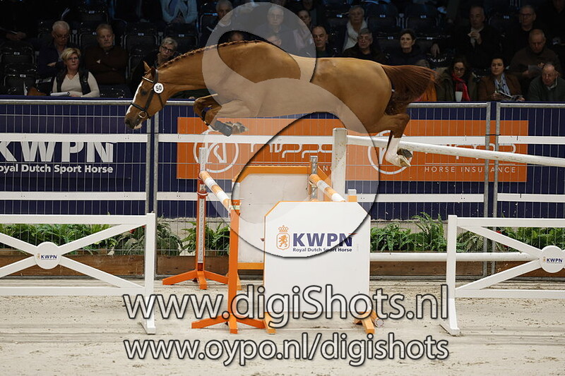 R Livingstone WP v. Diamant de Semilly - 50