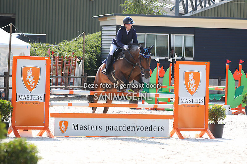 KNHS Regiokampioenschappen Utrecht 03-07-2022 Paarden Rijstijl