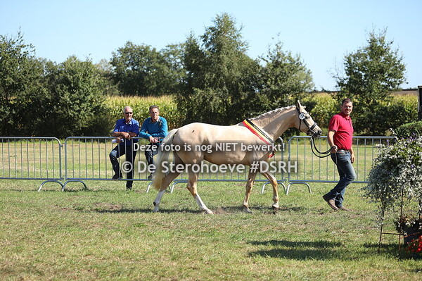 7.Jeugdkampioenschap