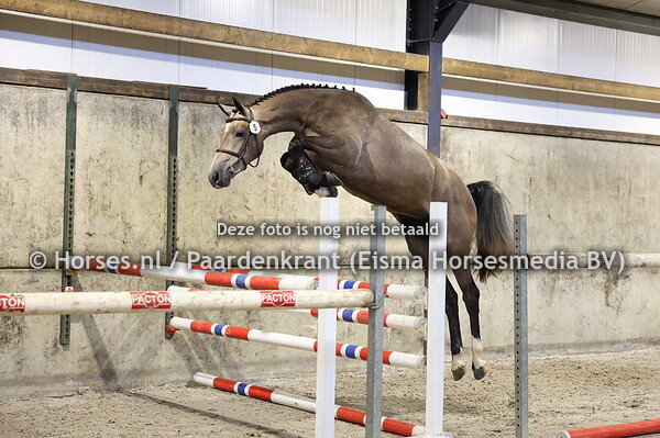 5 Smirnoff Ice (Mr Cornet de Regor x Jillz v. Calvaro)