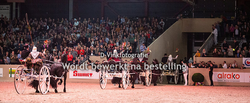 Hengstenkeuring 2020 Fryske Quadrille