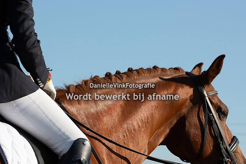 Nikki Stehouder - Giomara