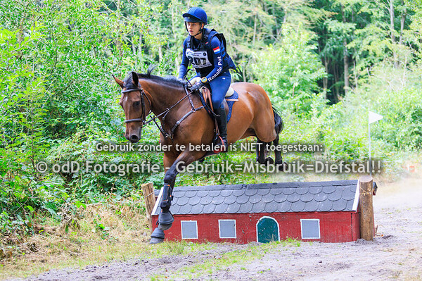 Eventing Norg Paarden B Intro 31-08-25