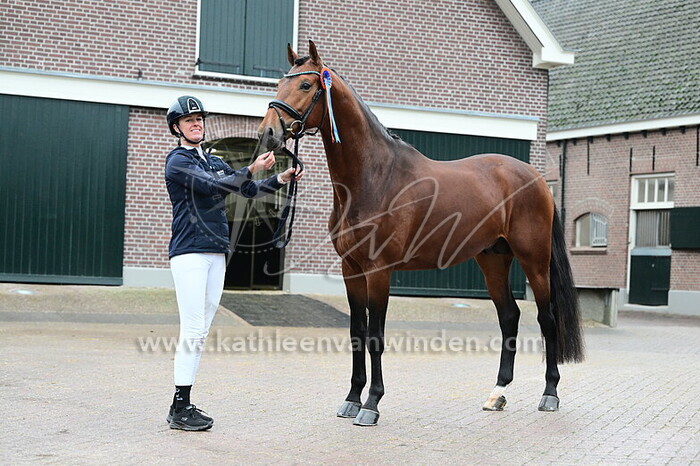 Lotte van Engelen - Senesi