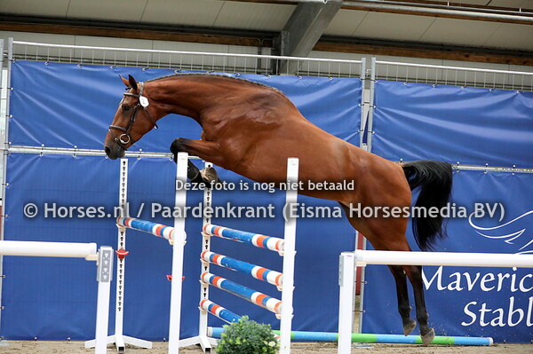 2 Mendolin v Connect