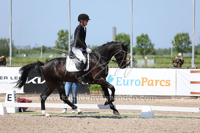 Stijn van den Boogaard - Nouveau VK