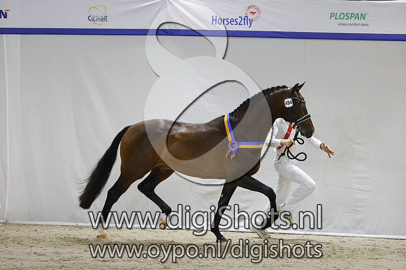 Nobel Prins v. Indian Rock