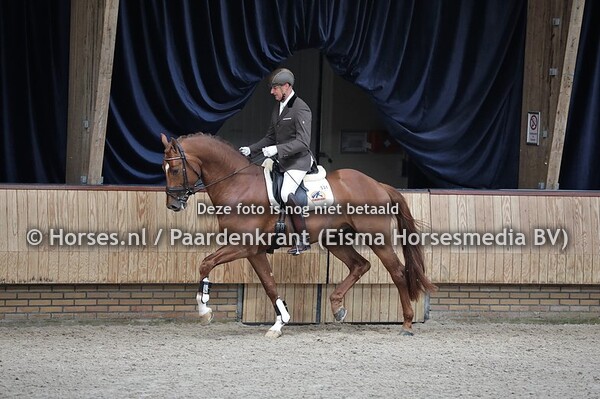 55 Max (Sezuan x Coosje v,. Johnson)