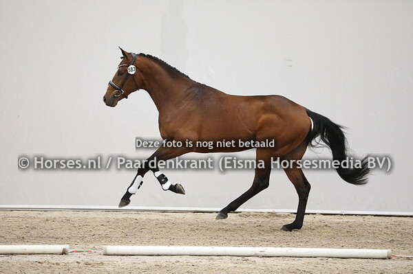 583 Feel Good x United