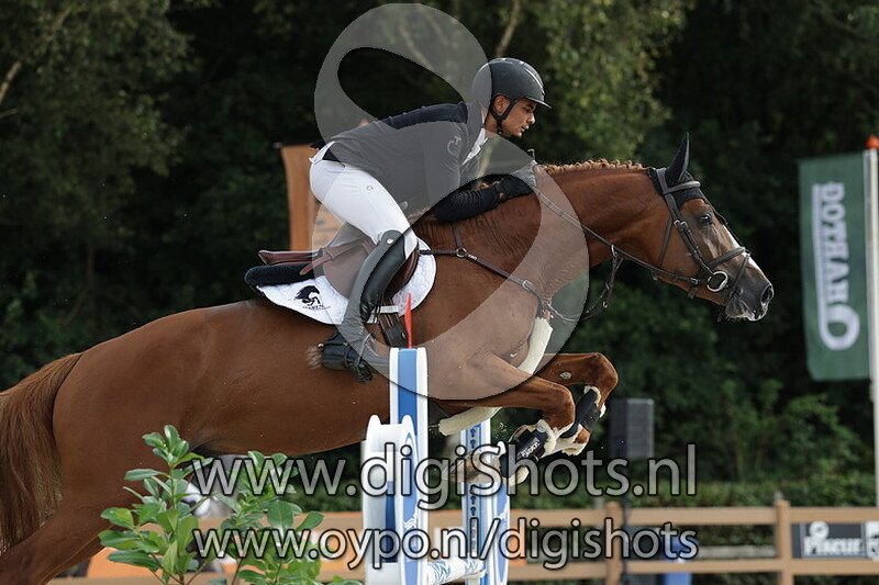 Raket fan Dijkmaniastate