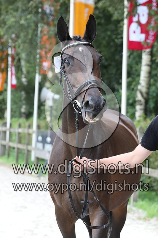 087 Riddle v. Merlot VDL