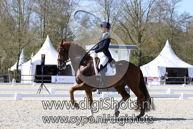 Greenpoint's Hotmail V