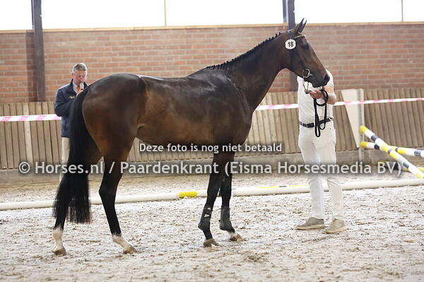 18 Scratch DG (Etoulon x Cerlin e v. Colandreo)