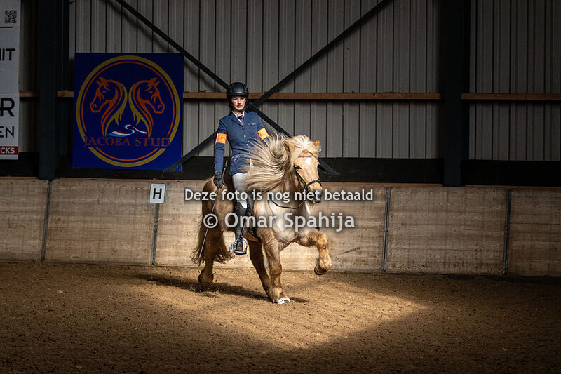 23-02-2025 Beilen Indoor IJslanders