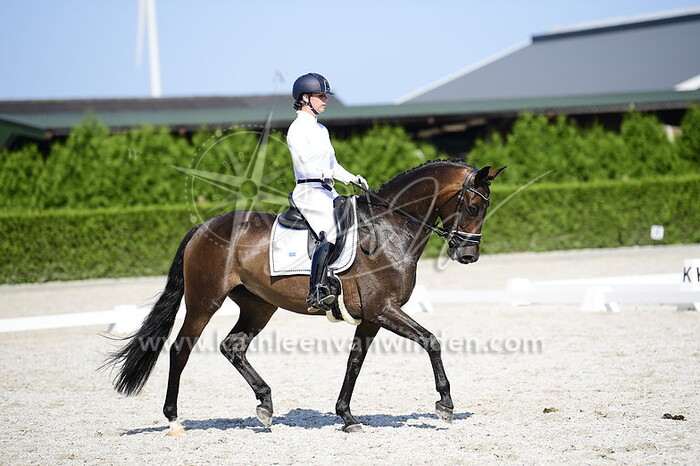 Charlotte van der Steen