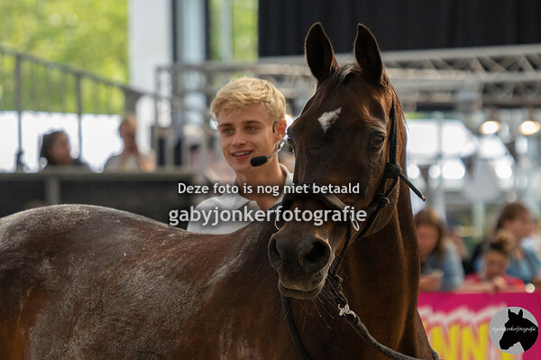 Horse Event 15-09-19