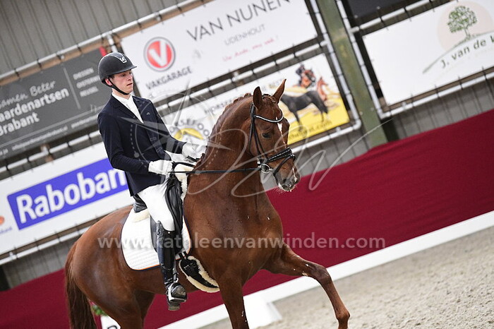 Ad van Burk - Oliv Helena PP