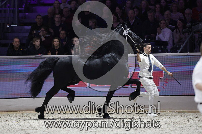 Tymen 503 v. Tsjalle 454