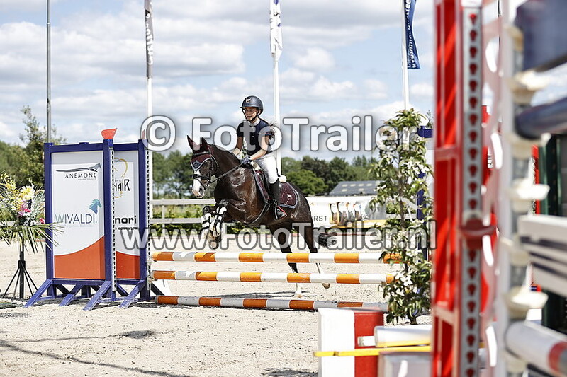 annelyn van der arend