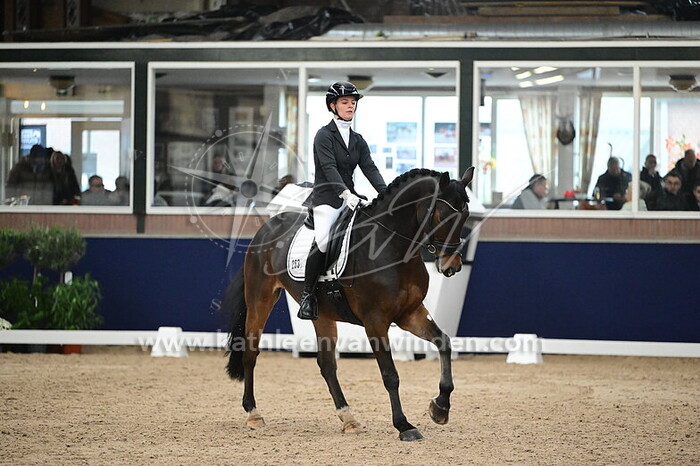 Mabel Som - Zodiac Zeldenrust Z