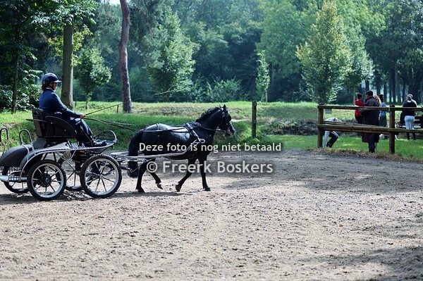 30-08-2025 Menwedstrijd - Manege De Woudruiters menners groep