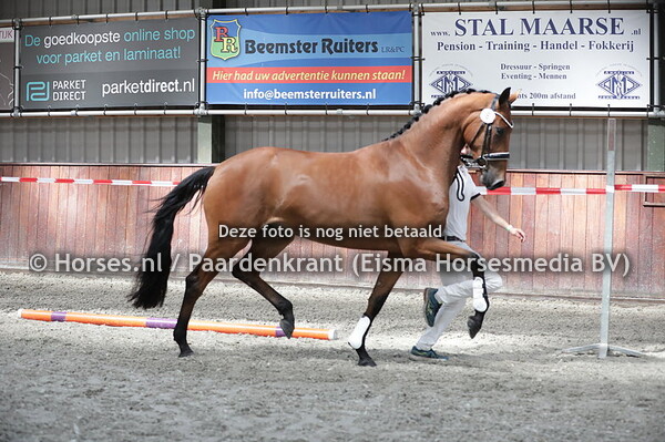 8 Mistique (Ferdinand x Elidensie v. Ampere)