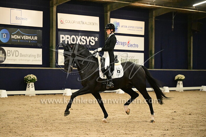 Charlotte Fry - Nalegro