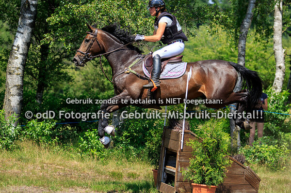 SGW Ede en Putten, Paarden M en Z 23-06-19