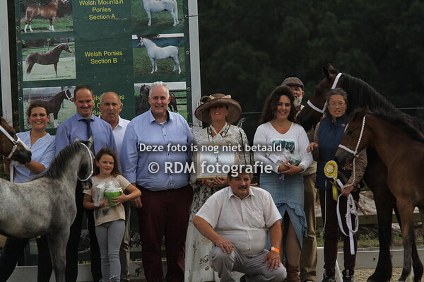 welsh keuring 2025 deel 2 namiddag