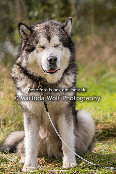 DASSC Openingswedstrijd Kuinderbos