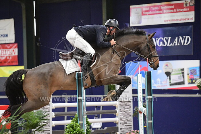 Geert Moerings - Nesthar