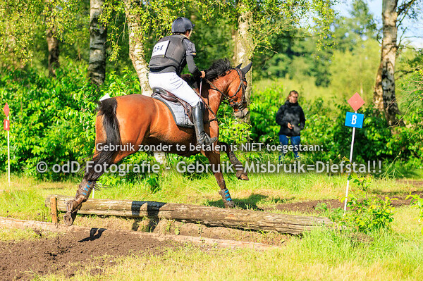 SGW Ede en Putten Paard L, Pony M 16-06-24